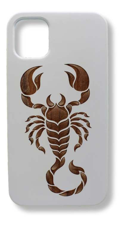 Scorpion - Image 2