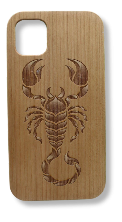 Scorpion - Image 4